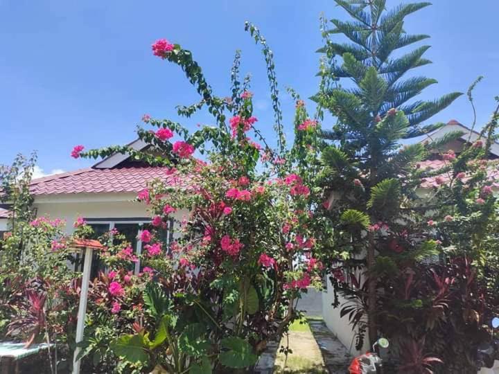 Langkawi Homestay Bunga Padi Kuah Dış mekan fotoğraf